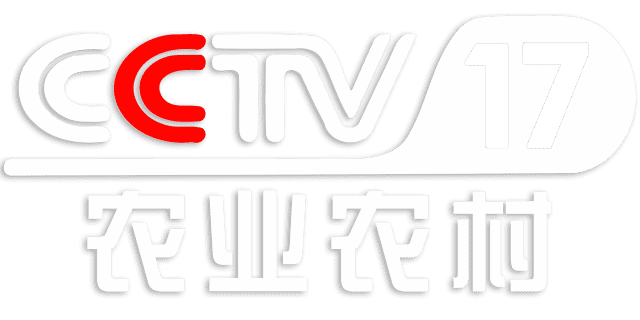 CCTV17